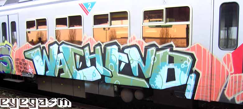 wachtn801.jpg