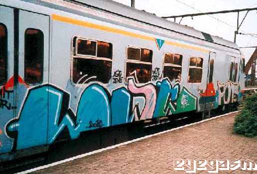 wdc01.jpg