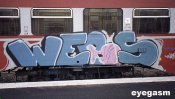 webs.jpg