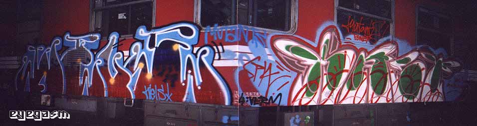 wels-kast01.jpg