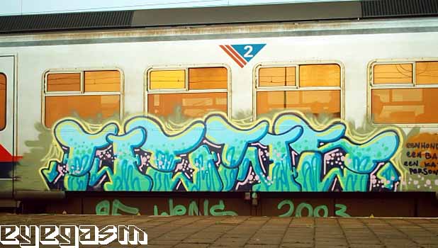 wens07.jpg