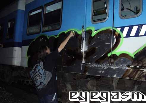 wer003.jpg