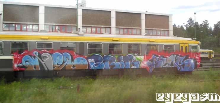 whel-erir-sems01.jpg