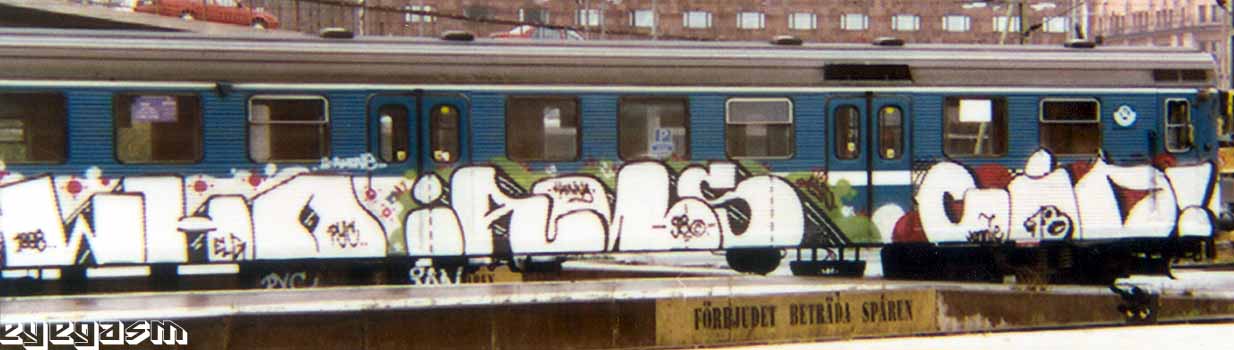 who-ians-cio01.jpg