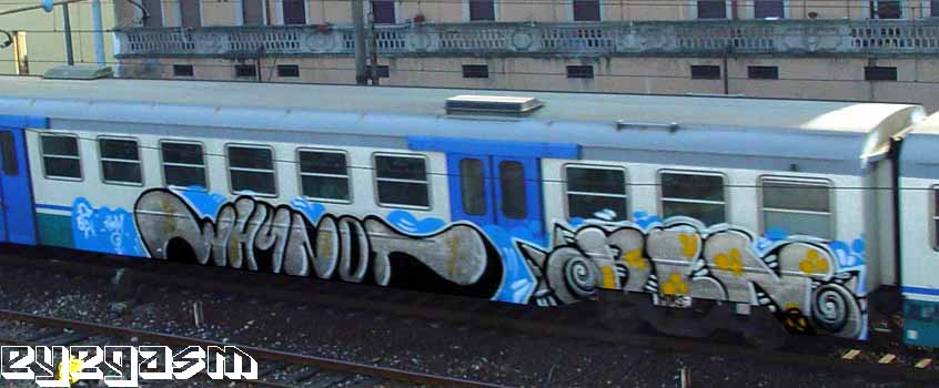 whynot-bln01.jpg