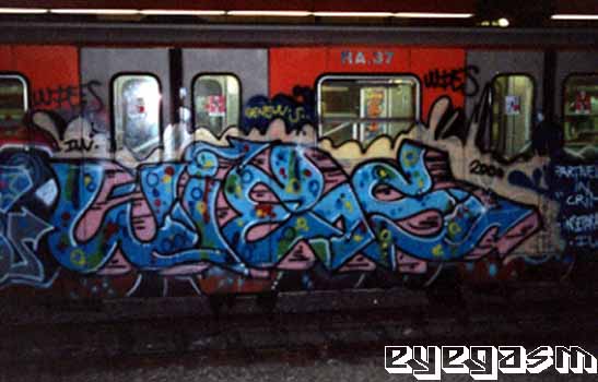 wies01.jpg