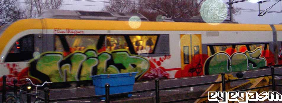 wild-cls01.jpg