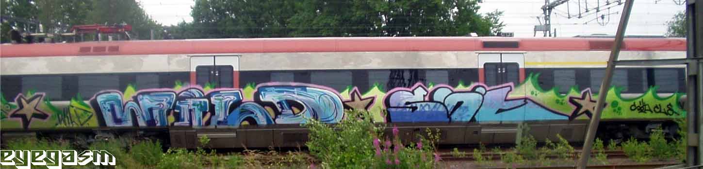 wild-sot01.jpg