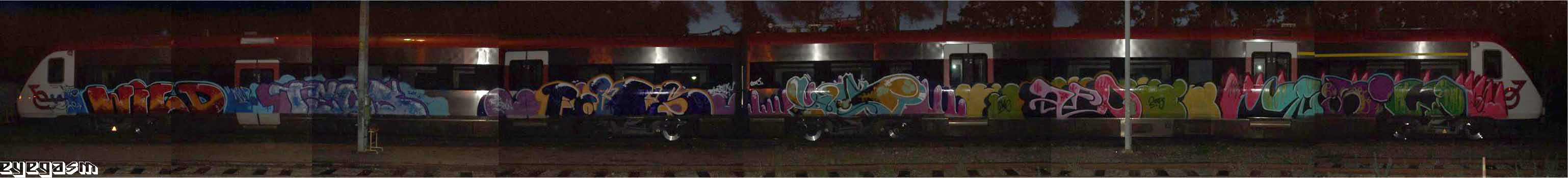 wild-tecs-roffs-iglo-afd-nau01.jpg