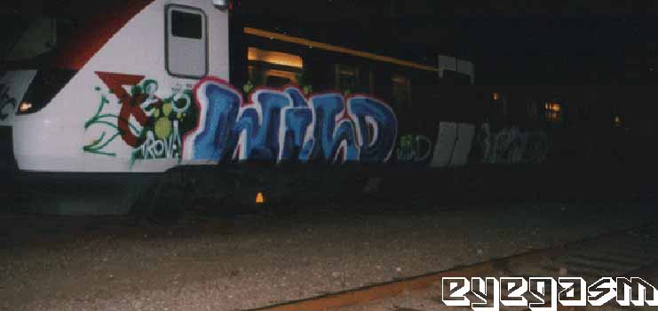 wild01.jpg