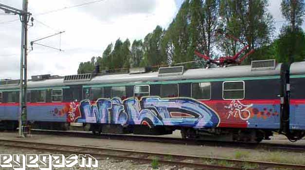 wild02.jpg