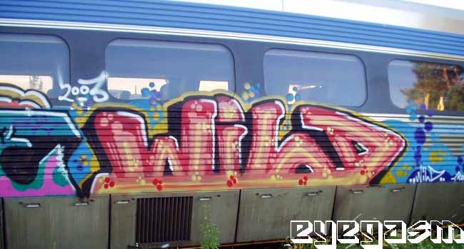 wild05.jpg
