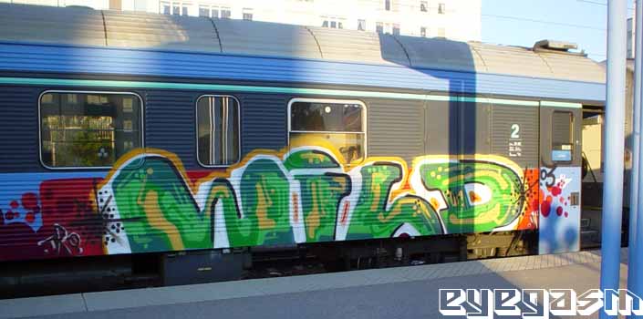 wild08.jpg