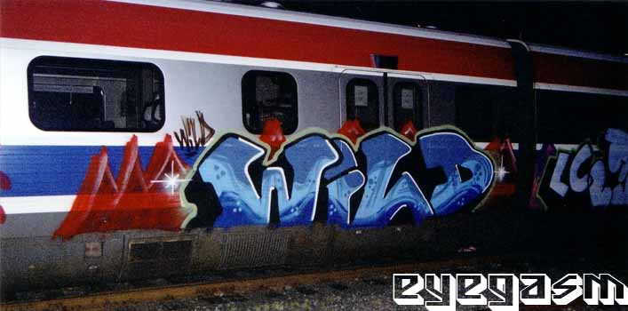 wild09.jpg