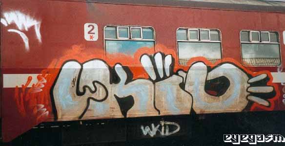 wkid01.jpg