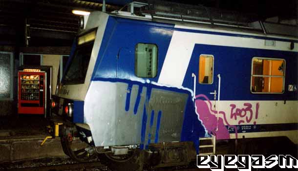 wm06.jpg