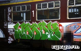 woody01.jpg