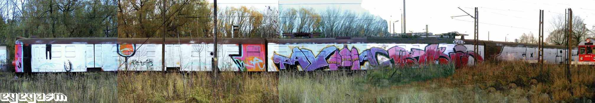 wr-payac-brak-gotz-wc01.jpg