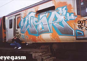 wsr01.jpg