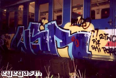 wsr02.jpg
