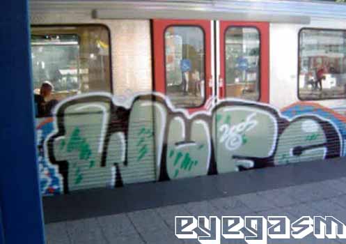 wufc08.jpg