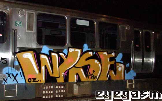 wyse01.jpg