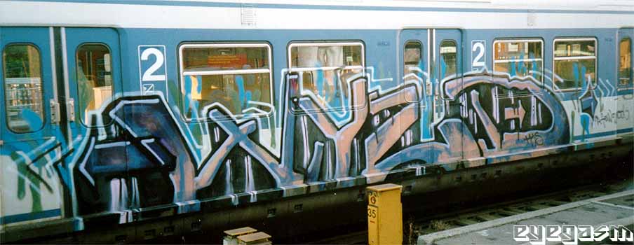 wyzd01.jpg