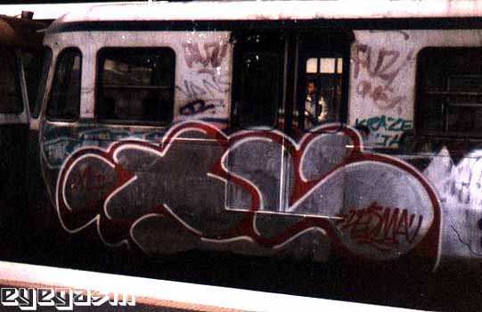 xl2.jpg