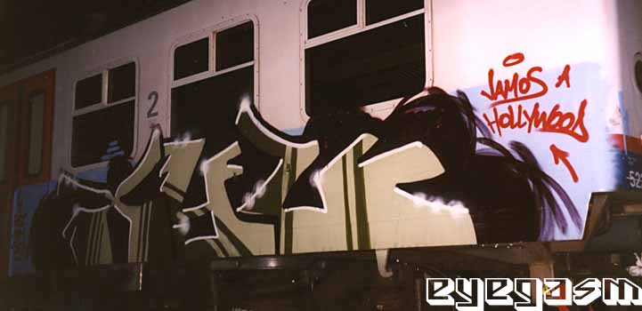 xyl01.jpg