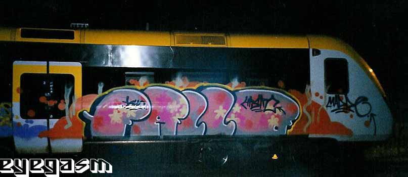 yallo06.jpg