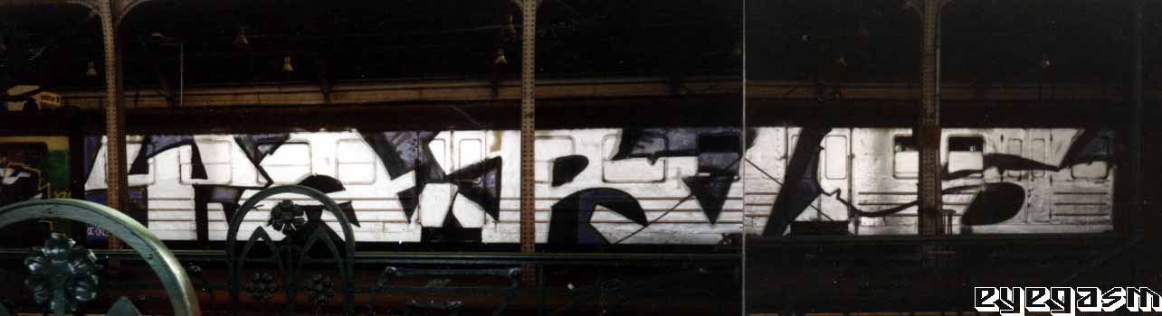yars01.jpg