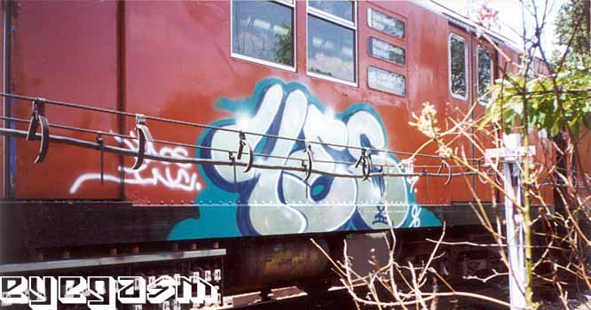 yes002.jpg