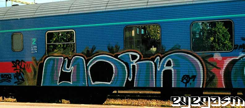 yora05.jpg
