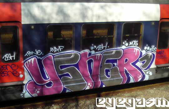 ysner01.jpg