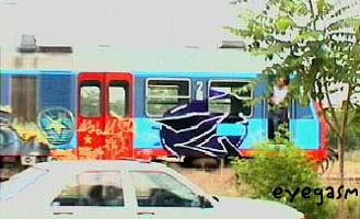 z01.jpg