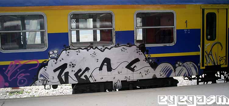 zeaf01.jpg