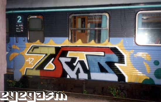 zeb001.jpg