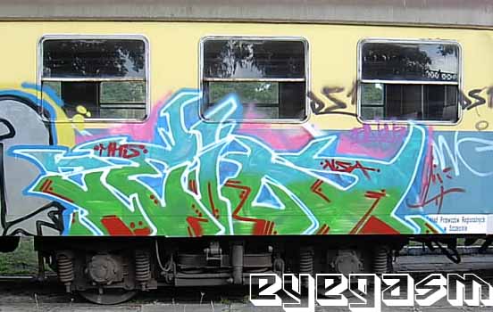 zein01.jpg