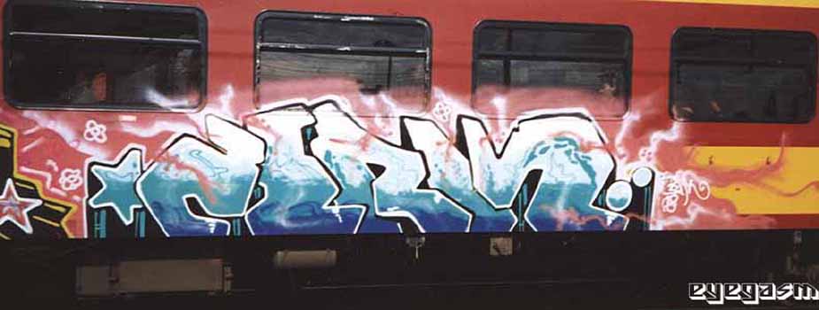 zerk03.jpg