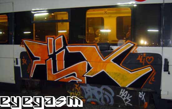 ziix04.jpg
