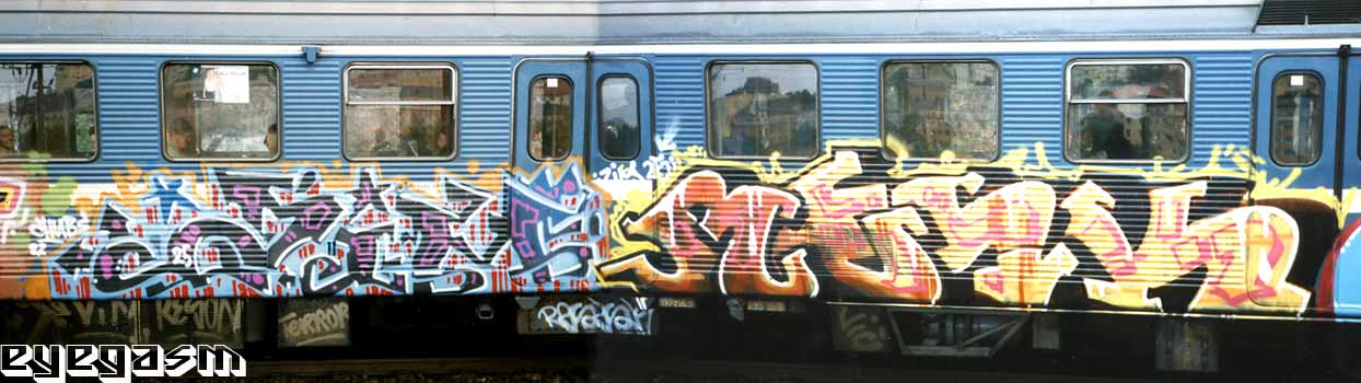 zim-resk01.jpg