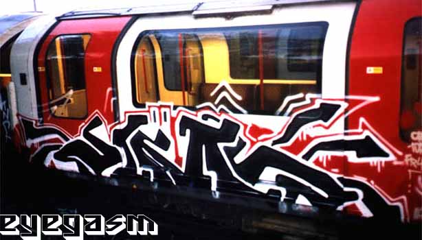 zims01.jpg