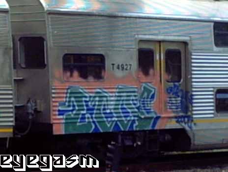 zin01.jpg
