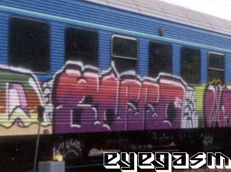 zorro01.jpg