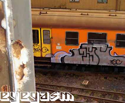 zsc01.jpg