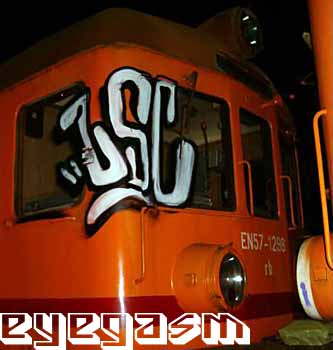 zsc03.jpg