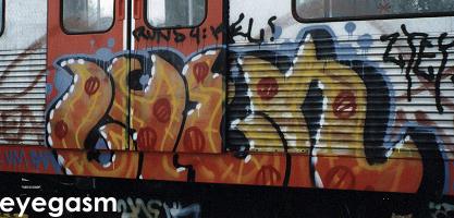 zyek01.jpg