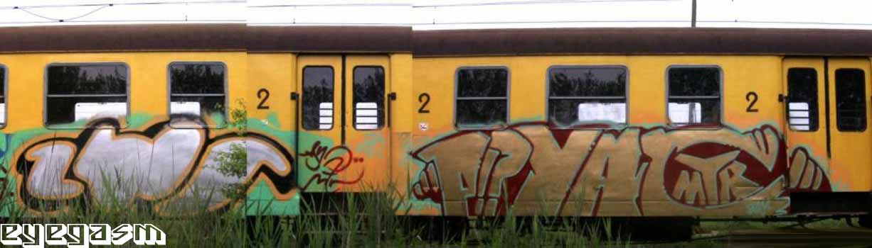 zys-payac01.jpg