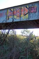 fokis_100_0251_1x.jpg