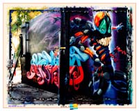007.020606.melrose.v02x.jpg